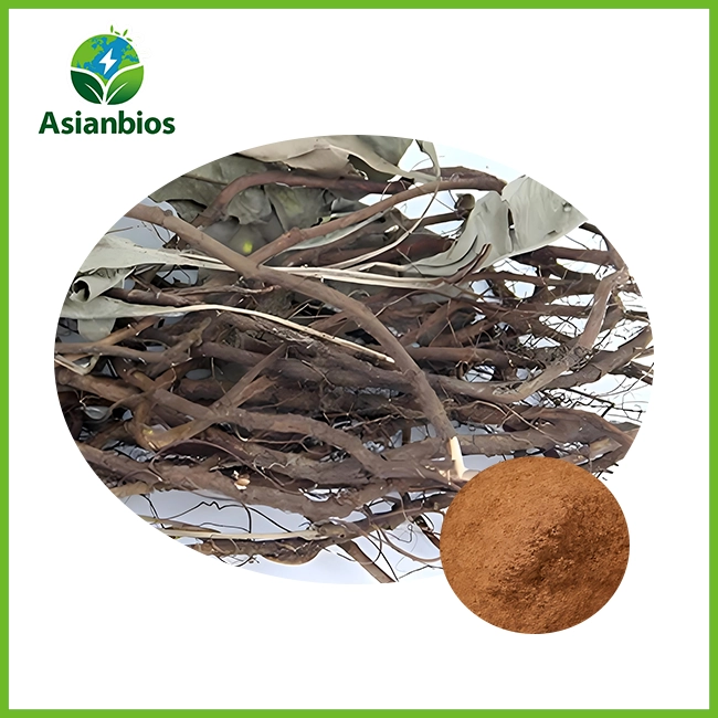 Kacip Fatimah Extract